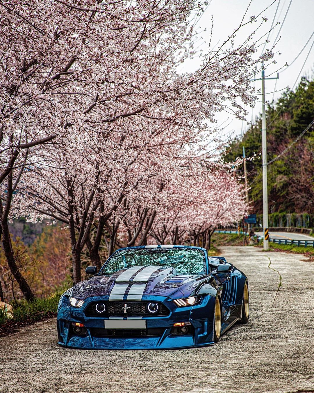 Ford mustang unicorn